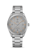 Omega Railmaster Omega Co-Axial Master Chronometer 40 Stainless Steel / Silver / Bracelet