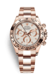 Rolex Cosmograph Daytona Everose / Ivory