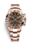 Rolex Cosmograph Daytona Everose / Chocolate