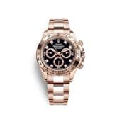 Rolex Cosmograph Daytona Everose / Black - Diamond