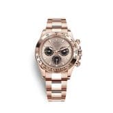 Rolex Cosmograph Daytona Everose / Pink
