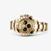 Rolex Daytona Yellow Gold Black Eye