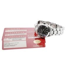 OMEGA SEAMASTER AQUATERRA 231.10.30.20.06.001 30mm SS Gray Dial Automatic #C1541