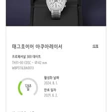 TAG Heuer Aquaracer Professional 300 Green Dial Watch (42mm) Official