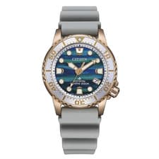 Citizen Promaster Diver Eco Drive Watch Gold Case Grey Silicone Strap