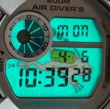 CASIO G-SHOCK FROGMAN DW-8201GF-8JF Metallic G Limited Titanium Men's Watch