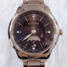 Citizen Eco-Drive Titanium EE1006-60W Daichi Collection Limited 1200