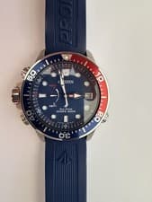 Citizen Aqualand Promaster