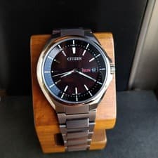 Citizen Attesa AT6050-54E 790567