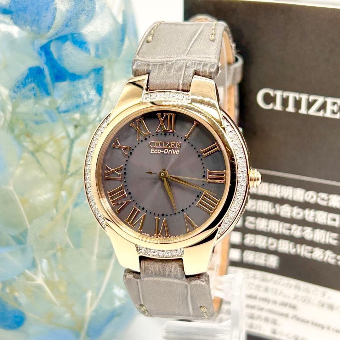 Citizen Eco-Drive Watch Bezel