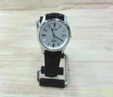 Citizen Gn-4W-S Radio Solar