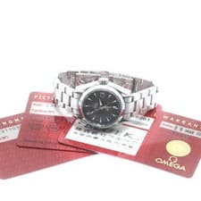 OMEGA SEAMASTER AQUA TERRA 231.10.30.20.06.001 30mm SS Grey Dial #C1540