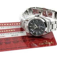 OMEGA SEAMASTER AQUATERRA 231.10.30.20.06.001 30mm SS Gray Dial Automatic #C1538