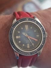 SHARK BERIOS MEDIUM 30 ATM QUARTZ