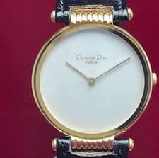 Christian Dior Bagheera Bag