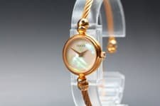 [Near MINT] Vintage GUCCI 2700.2.L 20mm Shell Dial Qz Women's Watch From JAPAN
