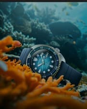 Seiko Prospect Sea ' Kame'  SRPMO4K   2025 Aust Exclusive Limited  0967 / 1000