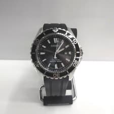 Citizen E168-S111501 Quartz Analog Watch