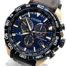 Citizen Promaster Land E660-R013726 Eco-Drive Radio Watch Blue Gold JP