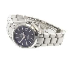 OMEGA SEAMASTER AQUA TERRA 231.10.30.20.06.001 30mm SS Gray Dial Date #C1593