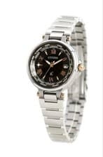Citizen EC1010 90X Wristwatch Timepiece Eco Drive Stainless Steel Dress
