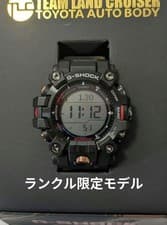 Madman GW 9500TLC Land Cruiser Limited Extremely Beautiful Item