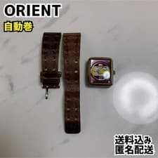 ORIENT Automatic Watch Bag