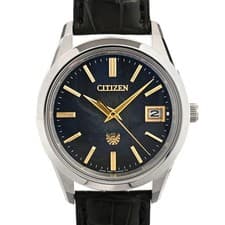 Citizen The Silence AQ4100-22E Gray Men's