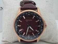 Citizen Eco-Drive World Time BX1009-10X Rose Gold Brown Mens Watch Unused