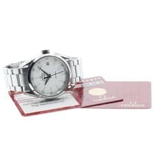 OMEGA SEAMASTER AQUATERRA 231.10.39.60.02.001 39mm SS Silver Dial Date #C1504