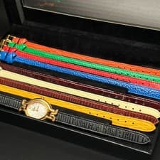Fendi Change Belt 9 Colors Watch Chameleon Fendi,19337