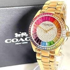, Stored Item: COACH Gray Son Pave Crystal Watch