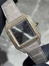 CARTIER Santos Dumont WGSA0097 TO262971