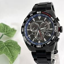 Citizen Wena3 Eco Drive Promaster Watch Black Mens Wrist 18cm