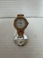 Citizen Eco-Drive E031-S106150 Watch Men's Power