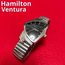 Hamilton Ventura Quartz Watch H244112