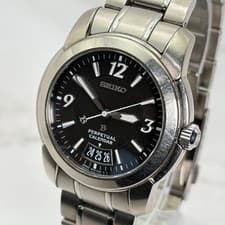 SEIKO Brightz Perpetual Lumi Bright Titanium 64984