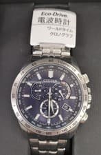 Wristwatch Model E660 S119944 CITIZEN