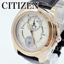 Citizen Eco-Drive Moon Phase Day-Date Watch 8730-S052599 Gold White
