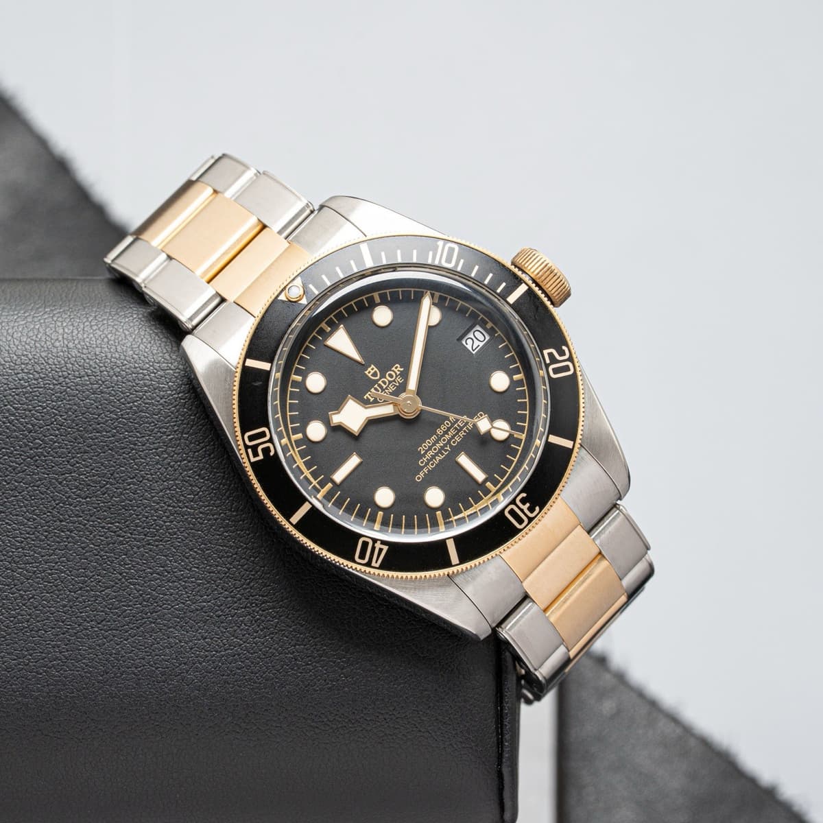 TUDOR Black Bay S&G 79733N Two Tone