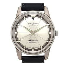 SEIKO alpinist 85899 TO267760