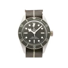 Tudor Black Bay Fifty-Eight 925 Sterling Auto 39mm Taupe Strap Watch 79010SG