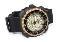 CITIZEN Promaster Marine Diver Watch BN0226-10P Gold Dial Solar Men's
