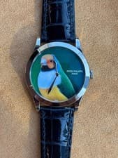 Patek Philippe Calatrava 5089G-045 18K White Gold Cloisonné Enamel Dial Watch