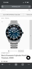 Citizen Promaster Fujitsubo Automatic 200m Titanium Blue Dial Diver Watch 41mm