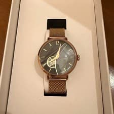 Pierre Lanier watch Built-in