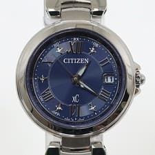 Citizen Cross Sea Eco-Drive Radio Watch