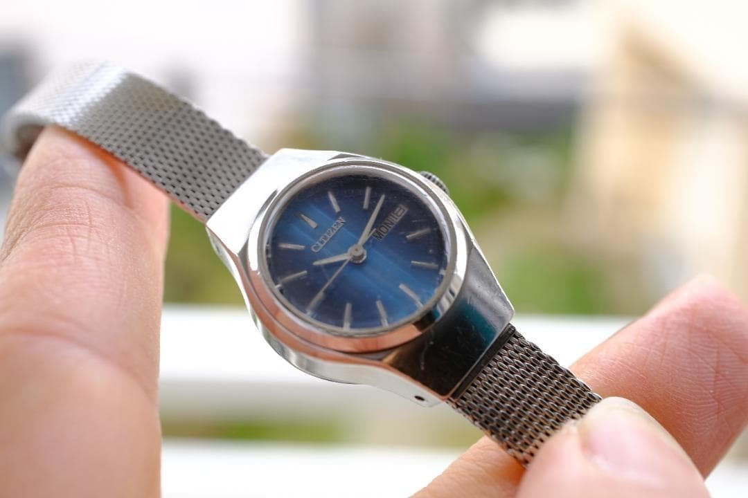 Citizen Automatic Watch Mesh B Working