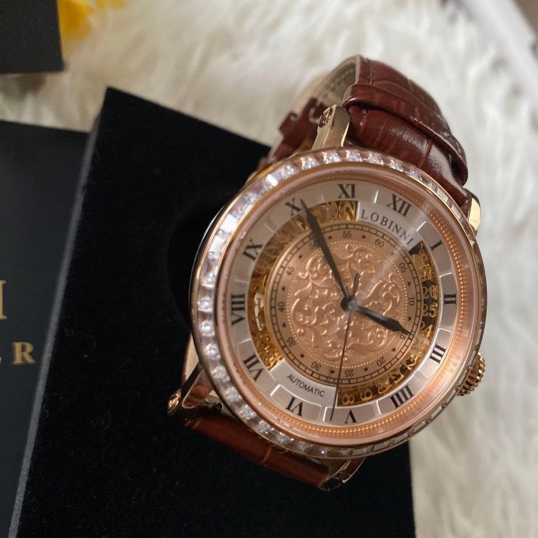 LOBINNI HolAutomatic Men's Mechanical Waterproof Watch