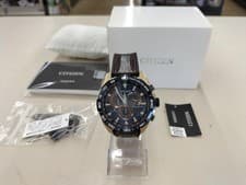 CITIZEN Solar Radio-Controlled Watch CB5039-11L